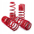 MTS Mercedes-Benz lowering springs