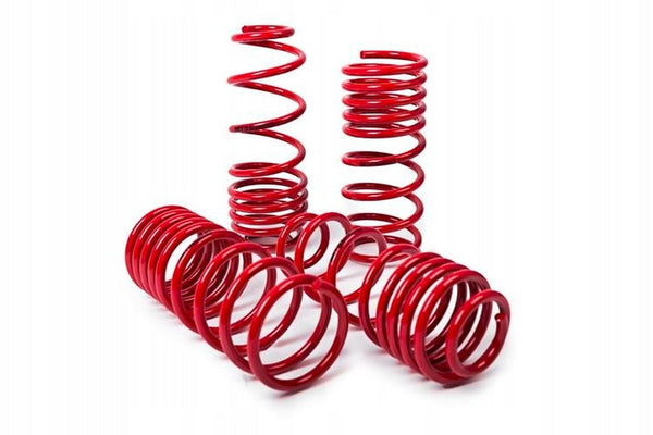 MTS Mercedes-Benz lowering springs