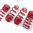 MTS Mercedes-Benz lowering springs